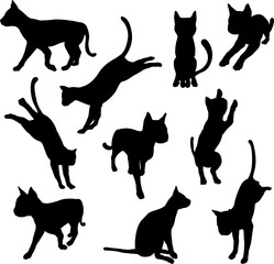 Pet cat silhouettes