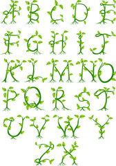 Plant alphabet letters © Christos Georghiou