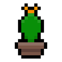 pixel cactus
