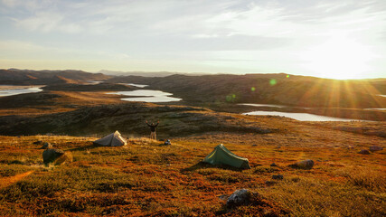 Long distance hiking on the Arctic Circle Trail between Sisimiut and Kangerlussuaq in Greenland. © Christopher