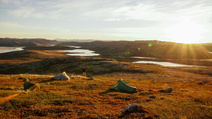 Long distance hiking on the Arctic Circle Trail between Sisimiut and Kangerlussuaq in Greenland.