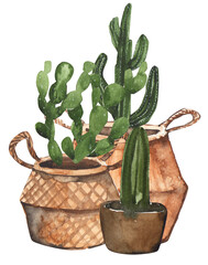 watercolor cactus in flowerpot