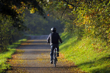 Fototapeta Autumn cycling along a beautiful path among golden red leaves. Road to work by bike. Jesienna jazda na rowerze piękną ścieżką, pośród złotych, czerwonych liści. Droga do pracy na rowerze. obraz