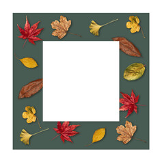 Colorful autumn leaves on dark green frame. Autumn Border. Greeting Card. Transparent background.