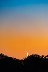 Fototapeta premium Copenhagen, Denmark A crescent moonrise over the Frederiksberg district