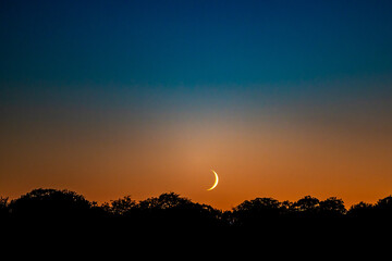 Copenhagen, Denmark A crescent  moonrise over the Frederiksberg district