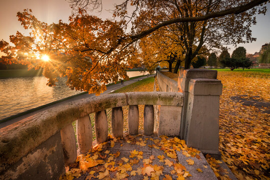 Złota, polska jesień. Ż&oacute;łte i czerwone liście, barwy jesieni. Golden autumn, yellow and red leaves. Krak&oacute;w, Bulwary Wiślane, Poland. Kolorowe liście, słońce, jesień