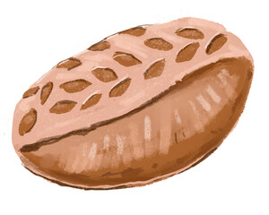 Sourdough bread. Water colour hand draw illustration. Isolate on white background