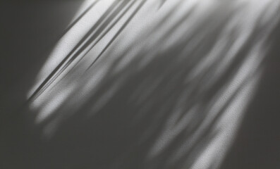 Soft focus gray grain texture black and white refraction wall . Light and shadow smoke abstract...