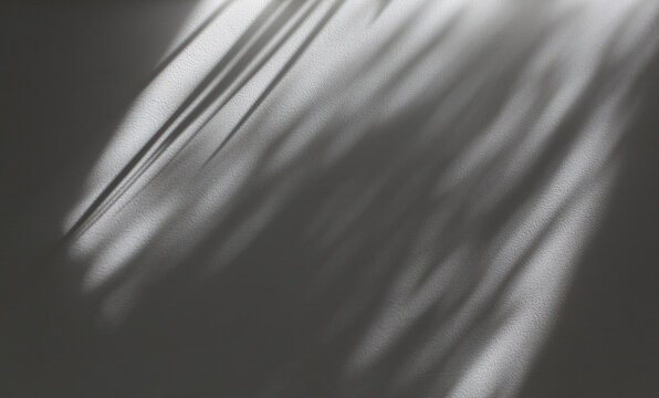 Soft focus gray grain texture black and white refraction wall . Light and shadow smoke abstract copy space background. Palm leaf.