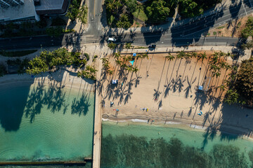Drone, aerial shot of Waikiki beach with palm trees shadows in the morning sun