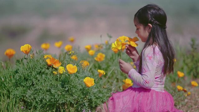 Ni&ntilde;a en Primavera con Flores