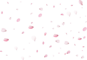 Pink flying petals. - obrazy, fototapety, plakaty