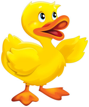 Cartoon happy bird duck is standing looking and smiling illustration for children
