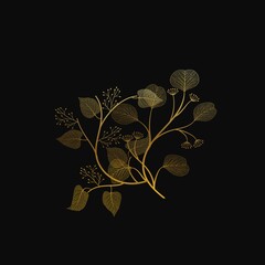 golden plant on black background 