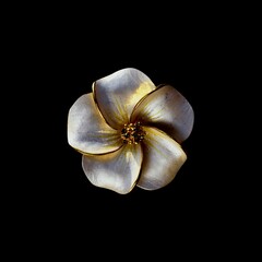 isolated bloom on black background