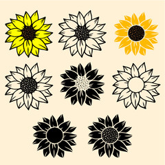 Sunflower, Floral, Flowers