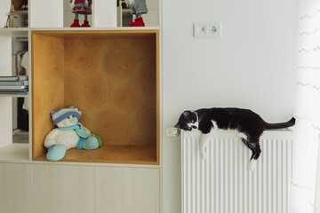 The cat lies on the heating radiator. The cat is heated on the heating radiator in winter weather in the apartment.