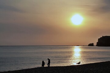Couple of photographers accompanied by a seagull taking pictures to an Atlantic Ocean sunset.