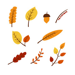 Collection of vector autumn leaves. Set of fall season elements in a flat style with editable stroke. Botanical elements, twig, acorn. © Vattenson