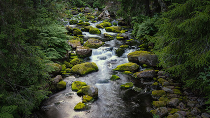 Beautiful creek in Fulufjallet National Park in Dalarna, Sweden. Popular tourist destination for...
