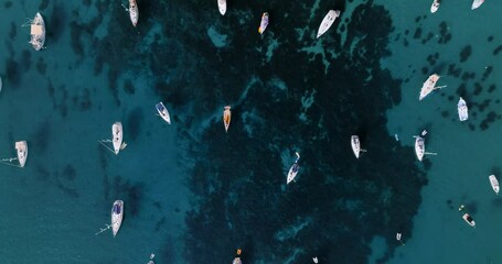Aerial view the boats anchored near the coast in clear sea waters.