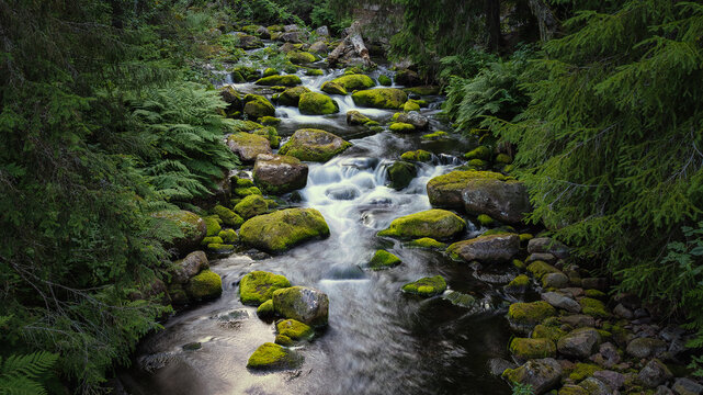 Beautiful creek in Fulufjallet National Park in Dalarna, Sweden. Popular tourist destination for hiking.