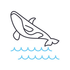 Fototapeta premium killer whale line icon, outline symbol, vector illustration, concept sign