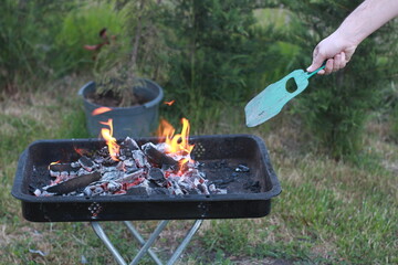 barbecue on the fire