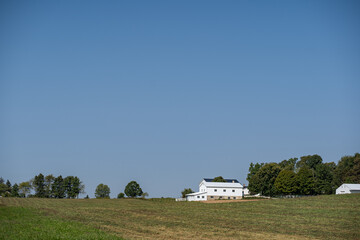 Amish house in a field on a wooded hill under a blue sky in the summer in Holmes County, Ohio