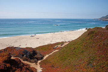 beach California ocean