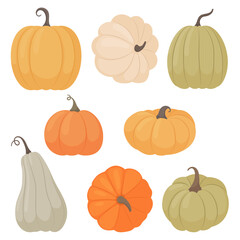 Pumpkins set. A variety of pumpkins in a flat style on a white background.