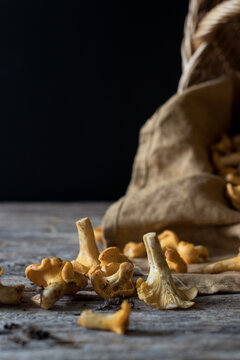 Closeup of orange chanterelle mushrooms