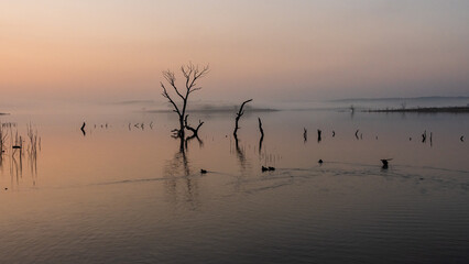 Sunrise at Canyon Lake with ducks