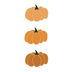 Pumpkin of various shapes and colors. Thanksgiving and Halloween Elements.
