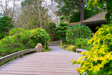 Fototapeta na wymiar Japanese Tea Garden San Francisco, California, EUA