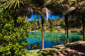 View of the Inhotim Park with the lake and palm trees  at Brumadinho, State of Minas Gerais, Brazil.