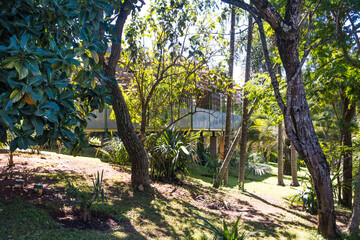 View of park Inhotim with trees at Brumadinho, State of Minas Gerais, Brazil.