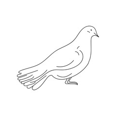 Fototapeta premium Linear dove. Dove in thin line style. Bird illustration in handmade. vector illustration