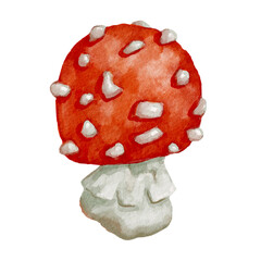 Red mushroom fly agaric.Watercolor illustration of a poisonous plant.