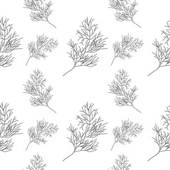 Dill or fennel seamless pattern. Linear Dill or fennel on white background. seamless pattern, vector illustration.