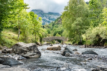 mountain river in the forest