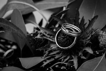 Fototapeta na wymiar Wedding rings close up