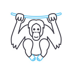 orangutan line icon, outline symbol, vector illustration, concept sign