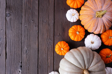 Fall side border of pumpkins of various sizes and colors over a rustic dark wood background. Top view with copy space.