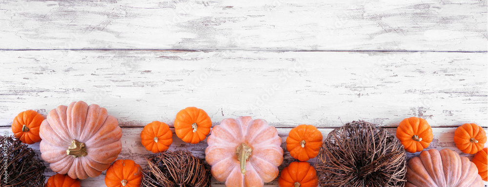 Poster fall bottom border of pumpkins and natural decor over a rustic white wood banner background. above v