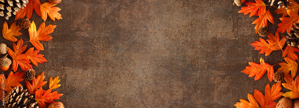 Poster Colorful autumn leaves, nuts and pine cones. Double border over a rustic dark banner background. Top down view with copy space.