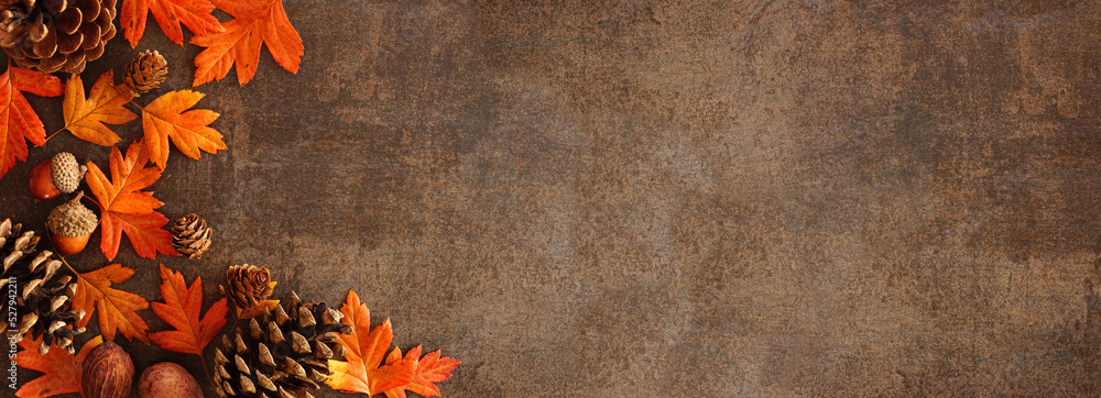 Poster colorful fall leaves, nuts and pine cones. corner border over a rustic dark banner background. overh