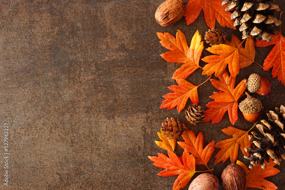 Poster Colorful autumn leaves, nuts and pine cones. Side border over a rustic dark background. Above view with copy space.