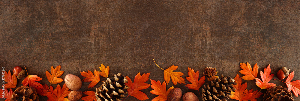 Aufkleber Colorful fall leaves, nuts and pine cones. Bottom border over a rustic dark banner background. Top view with copy space.